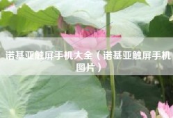 诺基亚触屏手机大全（诺基亚触屏手机图片）