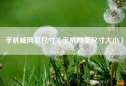 手机端网页尺寸（手机网页尺寸大小）