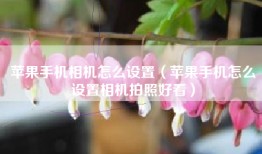 苹果手机相机怎么设置（苹果手机怎么设置相机拍照好看）