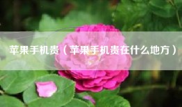 苹果手机贵（苹果手机贵在什么地方）