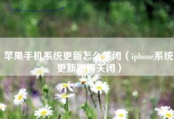 苹果手机系统更新怎么关闭（iphone系统更新如何关闭）