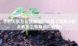 手机关机怎么恢复出厂设置（苹果手机关机怎么恢复出厂设置）