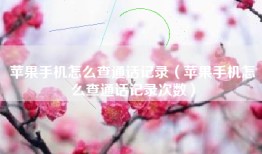 苹果手机怎么查通话记录（苹果手机怎么查通话记录次数）