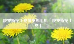 俄罗斯挖土党俄罗斯手机「俄罗斯挖土党」