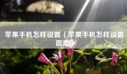 苹果手机怎样设置（苹果手机怎样设置震动）