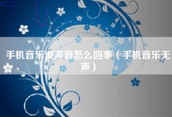 手机音乐没声音怎么回事（手机音乐无声）