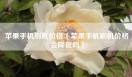 苹果手机刷机价格（苹果手机刷机价格会降低吗）