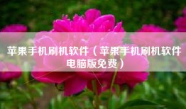 苹果手机刷机软件（苹果手机刷机软件电脑版免费）