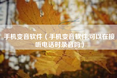 手机变音软件（手机变音软件,可以在接听电话时录音吗）