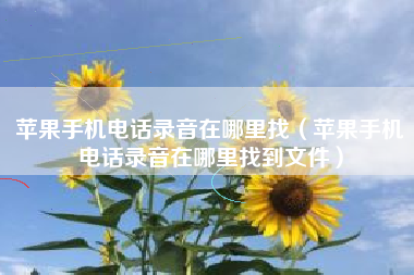 苹果手机电话录音在哪里找（苹果手机电话录音在哪里找到文件）