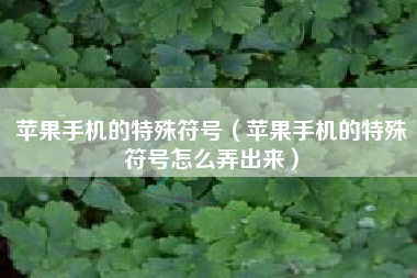 苹果手机的特殊符号（苹果手机的特殊符号怎么弄出来）