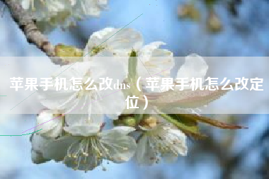 苹果手机怎么改dns（苹果手机怎么改定位）