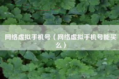 网络虚拟手机号（网络虚拟手机号能买么）