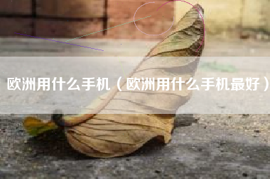 欧洲用什么手机（欧洲用什么手机最好）