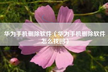 华为手机删除软件（华为手机删除软件怎么找回）